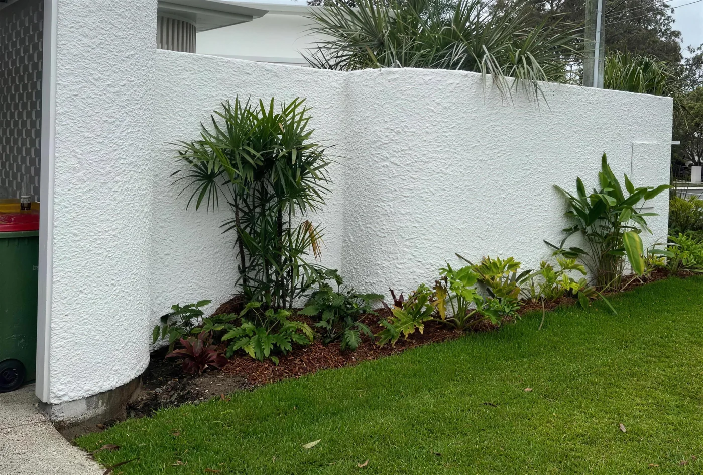 White textured render wall in a tropical garden